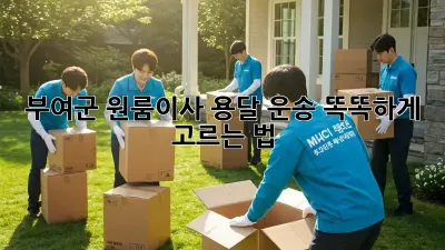 부여군 원룸이사, 용달 운송 똑똑하게 고르는 법 🚚