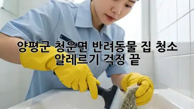 양평군 청운면 반려동물 집 청소, 알레르기 걱정 끝!